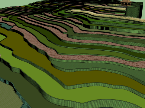 Terraced fields Modelo 3D