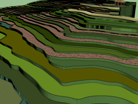 Terraced fields 3D Model