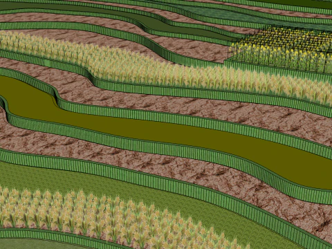 Terraced fields 3D Model