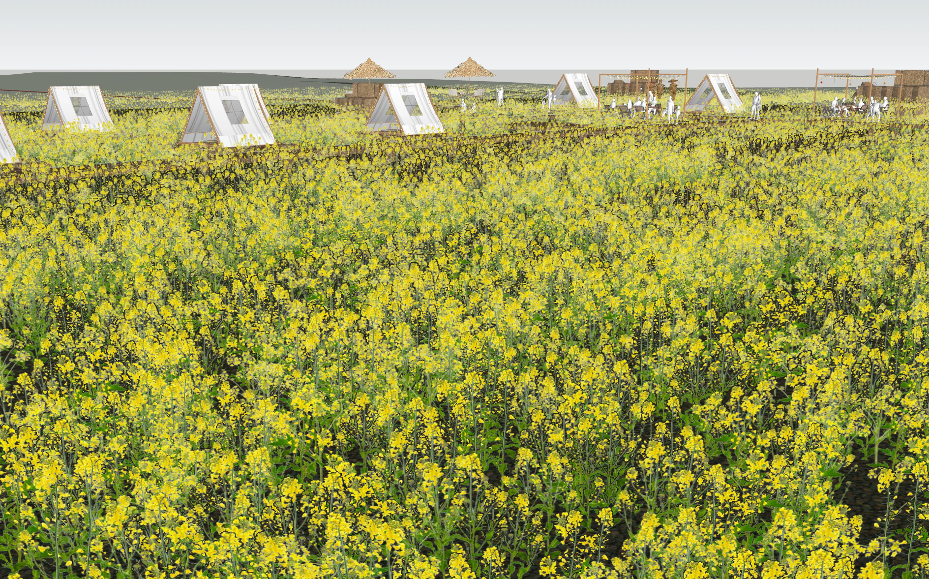 Rural rapeseed flower landscape 3D Model .c4d .max .obj .3ds .fbx .stl .blend 