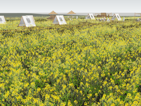 Rural rapeseed flower landscape Model 3D