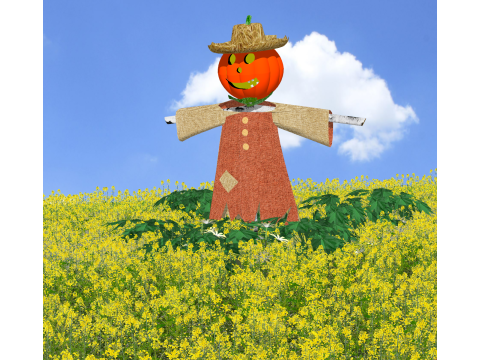 Cielo blu nuvole bianche fiori di colza spaventapasseri Modello 3D