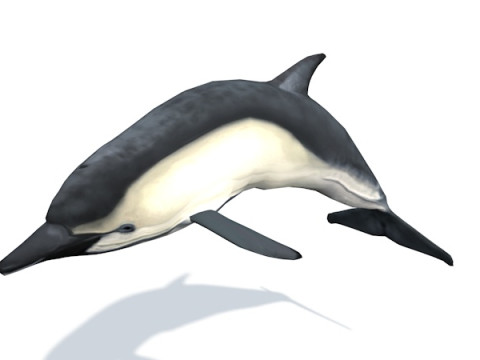 10 морських тварин 3D Модель