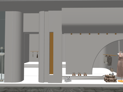 Progetto di costruzione dello spazio SU per un negozio di abbigliamento minimalista Modello 3D
