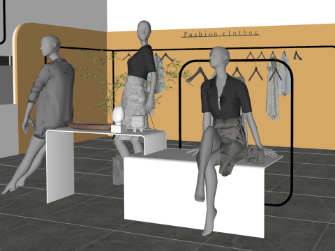 Womens clothing store clothing shelves 3D Model