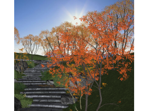 प्राकृतिक भू-भाग स्केचअप मॉडल में लैंडस्केप नोड डिज़ाइन 3D मॉडल