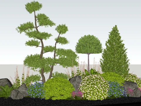 Shrubs shrubs ball flowers and plants combination flower border plants combination Ligustrum luc 3D Model