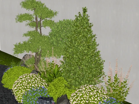 Shrubs shrubs ball flowers and plants combination flower border plants combination Ligustrum luc 3D Model