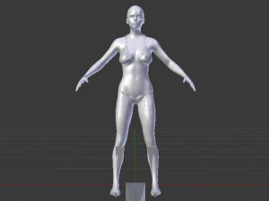 A Woman in a Bikini 01 3D Model
