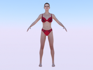 A Woman in a Bikini 011 3D Models