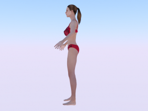 A Woman in a Bikini 011 3D Model