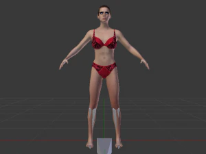 A Woman in a Bikini 011 3D Model