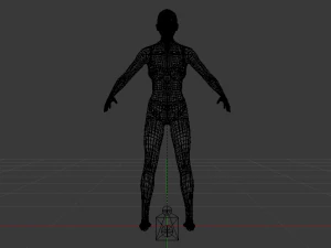 A Woman in a Bikini 011 3D Model