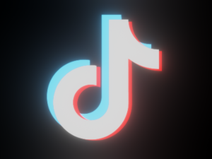 TikTok Animation - made in Blender 3D Model