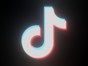 TikTok Animation - made in Blender 3D Model