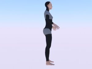 AVA Skeleton 3D-Modell