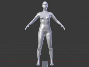 AVA Skeleton 3D Model