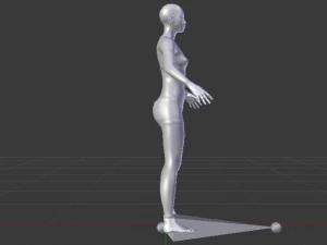 AVA Skeleton 3D Model