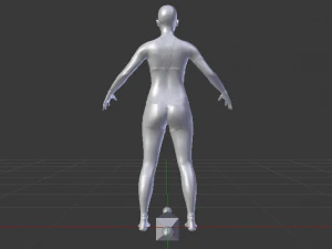 AVA Skeleton 3D Model