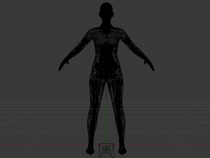 AVA Skeleton 3D-Modell