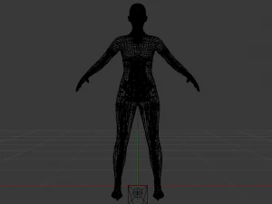 AVA Skeleton 3D Model