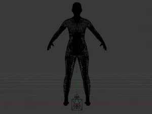 AVA Skeleton 3D Model