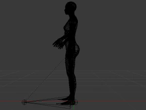 AVA Skeleton 3D Model