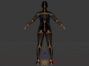 AVA Skeleton 3D-Modell