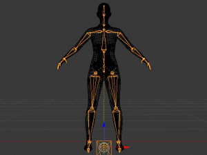 AVA Skeleton 3D Model