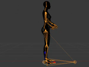 AVA Skeleton 3D Model