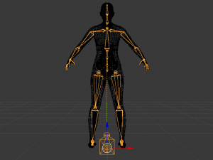 AVA Skeleton 3D-Modell