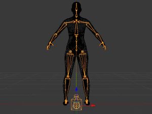 AVA Skeleton 3D Model