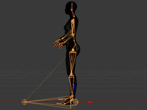 AVA Skeleton 3D Model