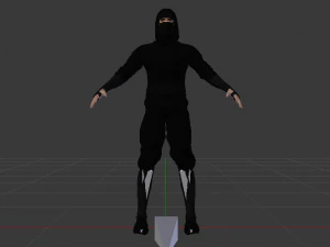 Man Ninja 3D Model