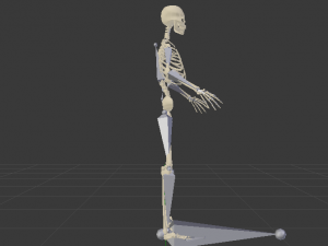 Skeleton of a Man 3D-Modell