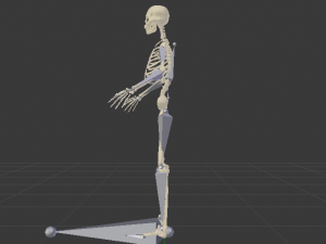 Skeleton of a Man 3D-Modell