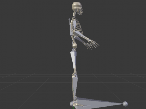 Skeleton of a Man 3D-Modell