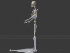 Skeleton of a Man 3D-Modell