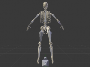 Skeleton of a Man 3D-Modell