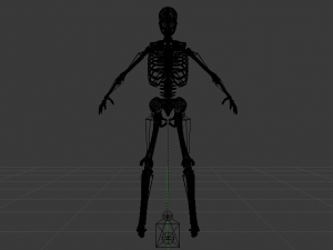 Skeleton of a Man 3D-Modell