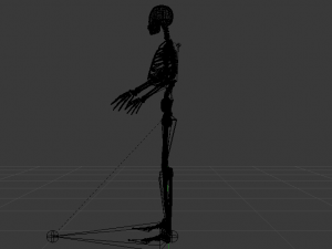 Skeleton of a Man 3D-Modell