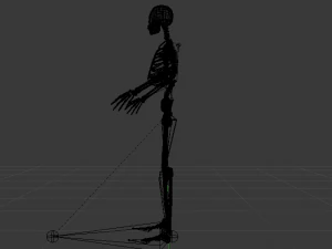 Skeleton of a Man 3D Model