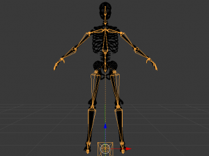 Skeleton of a Man 3D-Modell
