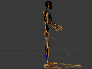 Skeleton of a Man 3D Model