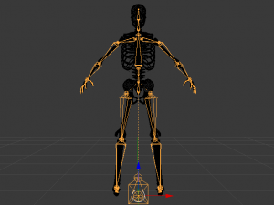 Skeleton of a Man 3D-Modell