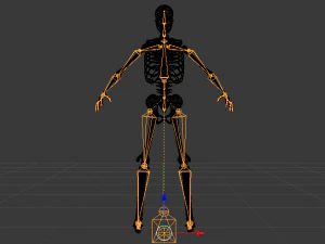 Skeleton of a Man 3D Model