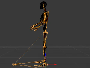 Skeleton of a Man 3D Model