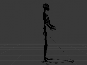 Skeleton of a Woman 3D-Modell