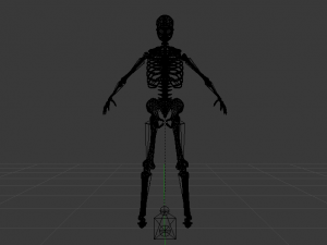 Skeleton of a Woman 3D-Modell