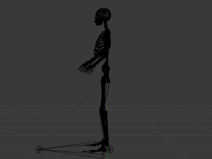 Skeleton of a Woman 3D-Modell